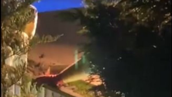 КАВЧАНИ УБИЈАЛИ И ЖЕНЕ? У дворишту виле Жељка Бојанића у Истанбулу полиција ископала три женска тела - служиле као продавци дроге (ВИДЕО) КАВЧАНИ УБИЈАЛИ И ЖЕНЕ? У дворишту виле Жељка Бојанића у Истанбулу полиција ископала три женска тела - служиле као продавци дроге (ВИДЕО)