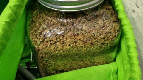 AKCIJA POLICIJE: Ovo je sedmorka koja je uhapšena dok su brali marihuanu, nađeno 150 kg droge AKCIJA POLICIJE: Ovo je sedmorka koja je uhapšena dok su brali marihuanu, nađeno 150 kg droge