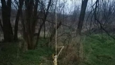 JEZIVI KRICI ODZVANJALI ŠUMOM: Kada je došla policija, nakon tri dana, naišli su na STRAVIČAN prizor (FOTO) JEZIVI KRICI ODZVANJALI ŠUMOM: Kada je došla policija, nakon tri dana, naišli su na STRAVIČAN prizor (FOTO)