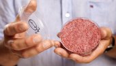 У ИТАЛИЈИ ЗАБРАЊЕНО СИНТЕТИЧКО МЕСО: И то је прва нација без ризика од синтетичке хране У ИТАЛИЈИ ЗАБРАЊЕНО СИНТЕТИЧКО МЕСО: И то је прва нација без ризика од синтетичке хране