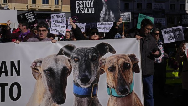 УБИЈАЊЕ НИЈЕ СПОРТ: Хиљаде Шпанаца се побунило против искоришћавања животиња УБИЈАЊЕ НИЈЕ СПОРТ: Хиљаде Шпанаца се побунило против искоришћавања животиња