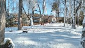 ПРОРАДИЛО ГРАДСКО СКИЈАЛИШТЕ: Радост за најмлађе Јагодинце (ФОТО)