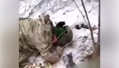 СНИМАК ЛИКВИДАЦИЈЕ ВОЈНИКА КОЈИ СУ СЕ ПРЕДАЛИ ИСТИНИТ: УН забринуте због односа Кијева према руским ратним заробљеницима СНИМАК ЛИКВИДАЦИЈЕ ВОЈНИКА КОЈИ СУ СЕ ПРЕДАЛИ ИСТИНИТ: УН забринуте због односа Кијева према руским ратним заробљеницима