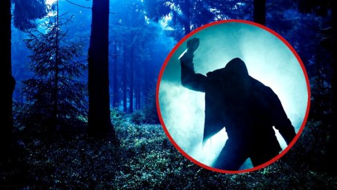 BEOGRADSKA ŠUMA KRIJE ZASTRAŠUJUĆE ZLOČINE: Arhitekta pronađena nakon misterioznog nestanka, a onda je usledio šok za porodicu BEOGRADSKA ŠUMA KRIJE ZASTRAŠUJUĆE ZLOČINE: Arhitekta pronađena nakon misterioznog nestanka, a onda je usledio šok za porodicu