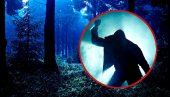 UŽASAN NAPAD U MILJAKOVAČKOJ ŠUMI: Izbo i opljačkao čoveka u gluvo doba noći, policija mu stavila lisice