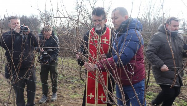 НАЈБОЉЕ ВИНО ИЗ ТАРАША: У Иђошу код Кикинде одржани 23. „Дани вина“ НАЈБОЉЕ ВИНО ИЗ ТАРАША: У Иђошу код Кикинде одржани 23. „Дани вина“