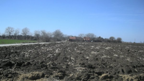 У ЗАКУП 430 ЊИВА: У Пожаревцу дају на 15 година земљу у државном власништву У ЗАКУП 430 ЊИВА: У Пожаревцу дају на 15 година земљу у државном власништву