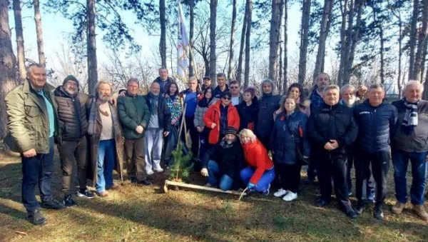 АКЦИЈА ПОШУМЉАВАЊА РУСКОГ ГРОБЉА: Волонтери изашли на терен (ФОТО) АКЦИЈА ПОШУМЉАВАЊА РУСКОГ ГРОБЉА: Волонтери изашли на терен (ФОТО)