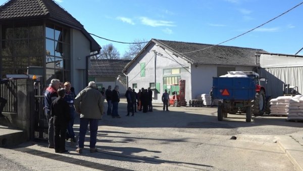 ВЕЛИКА ПОМОЋ СТОЧАРИМА ЈАДРА: Почела подела меркантилне пшенице у Мачванском округу ВЕЛИКА ПОМОЋ СТОЧАРИМА ЈАДРА: Почела подела меркантилне пшенице у Мачванском округу