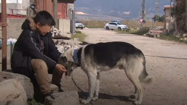 ПАС СПАСАО ЖИВОТ ДЕЧАКУ: Реаговао је као човек (ВИДЕО) ПАС СПАСАО ЖИВОТ ДЕЧАКУ: Реаговао је као човек (ВИДЕО)