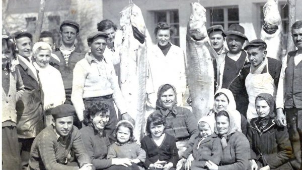 КАКО ЈЕ АМЕРИКА СУВИМ ЗЛАТОМ ПЛАЋАЛА СРПСКИ КАВИЈАР: Феномен рибљег ајвара с почетка 20. века сутра у недељним Новостима КАКО ЈЕ АМЕРИКА СУВИМ ЗЛАТОМ ПЛАЋАЛА СРПСКИ КАВИЈАР: Феномен рибљег ајвара с почетка 20. века сутра у недељним Новостима