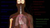 VANREDNA SITUACIJA NA 90 DANA ZBOG SMRTONOSNE EPIDEMIJE: U Peruu se širi danga groznica VANREDNA SITUACIJA NA 90 DANA ZBOG SMRTONOSNE EPIDEMIJE: U Peruu se širi danga groznica