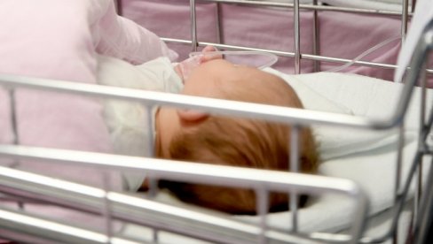 ЛЕПЕ ВЕСТИ ИЗ НОВОСАДСКОГ ПОРОДИЛИШТА: У Бетанији за дан рођено 27 беба