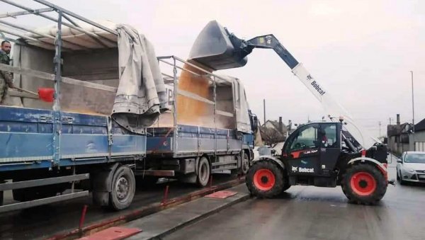 СТОЧАРИ ПРЕУЗЕЛИ БЕСПЛАТАН КУКУРУЗ: У Параћину 98 узгајивача млечних крава добило 231 тону СТОЧАРИ ПРЕУЗЕЛИ БЕСПЛАТАН КУКУРУЗ: У Параћину 98 узгајивача млечних крава добило 231 тону
