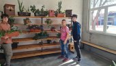 ПОМАЖУ ИМ И ИЗ ЗАБЕЛЕ: У ОШ Краљ Александар Први“ праве ботаничку башту ПОМАЖУ ИМ И ИЗ ЗАБЕЛЕ: У ОШ Краљ Александар Први“ праве ботаничку башту
