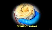 КАКО СЕ ПРАВИ ГИБАНИЦА РУЖИЦА: Хрскава, прелепог укуса, пуна фила (ВИДЕО) КАКО СЕ ПРАВИ ГИБАНИЦА РУЖИЦА: Хрскава, прелепог укуса, пуна фила (ВИДЕО)