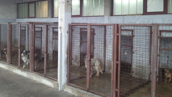 ТРАЖИ СЕ НАЈБОЉЕ РЕШЕЊЕ: У Краљеву привремено затворено прихватилиште за псе ТРАЖИ СЕ НАЈБОЉЕ РЕШЕЊЕ: У Краљеву привремено затворено прихватилиште за псе