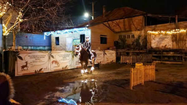 ОРИГИНАЛНО И ХУМАНО: Ваучерима за јахање за 8. март помажу животињама ОРИГИНАЛНО И ХУМАНО: Ваучерима за јахање за 8. март помажу животињама