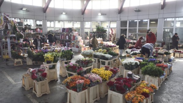 ДЕСЕТ КАЛА 1.200, ОРХИДЕЈЕ ДО 1.700 ДИНАРА: Руже најтраженије пред 8. март - ово су цене цвећа на пијацама ДЕСЕТ КАЛА 1.200, ОРХИДЕЈЕ ДО 1.700 ДИНАРА: Руже најтраженије пред 8. март - ово су цене цвећа на пијацама