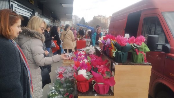 ПЛАНУЛО ЦВЕЋЕ У ПАРАЋИНУ: Улични продавци данас удвостручили продају (ФОТО) ПЛАНУЛО ЦВЕЋЕ У ПАРАЋИНУ: Улични продавци данас удвостручили продају (ФОТО)