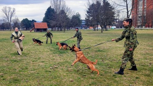 I ONI SU ČUVARI NAŠEG MIRA:U Nišu završena obuka vodiča i službenih pasa za čuvarsku službu (FOTO) I ONI SU ČUVARI NAŠEG MIRA:U Nišu završena obuka vodiča i službenih pasa za čuvarsku službu (FOTO)