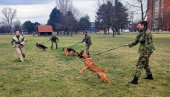 I ONI SU ČUVARI NAŠEG MIRA:U Nišu završena obuka vodiča i službenih pasa za čuvarsku službu (FOTO)