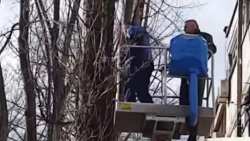 TO JE TAJ DUH PRESTONICE: Kako je jedna mačka ujedinila gradske službe TO JE TAJ DUH PRESTONICE: Kako je jedna mačka ujedinila gradske službe