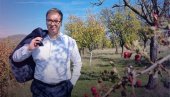 СРБИЈА ЈЕ МОЈ ЖИВОТ, ЗА ЊУ ЖИВИМ: Председник Вучић се огласио на Инстаграму СРБИЈА ЈЕ МОЈ ЖИВОТ, ЗА ЊУ ЖИВИМ: Председник Вучић се огласио на Инстаграму