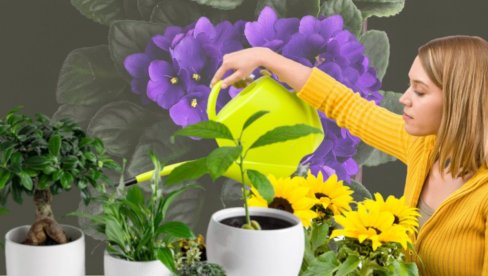 BIZNIS SA TERASE OSVOJIO SRBE: Donosi veliku zaradu, a ulaganja gotovo da nema