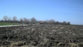 ДРУГИ КРУГ: Даје се у закуп 430 државних њива на подручју Пожаревца