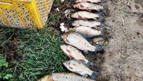 HAPŠENJE U KRUŠEVCU ZBOG NEZAKONITOG RIBOLOVA: Kruševljanin uhvaćen sa 40 mreža i 20 kilograma ribe (FOTO)