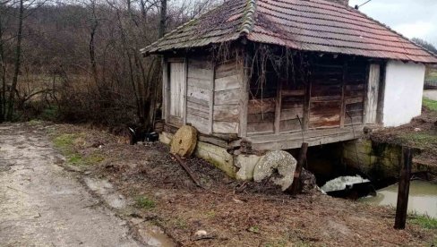 PONOVO SE ČUJE VODENIČKI TOČAK: Konačno obnovljen dragulj seoske baštine u Virovcu kod Mionice - Jankovića vodenica opet melje žito PONOVO SE ČUJE VODENIČKI TOČAK: Konačno obnovljen dragulj seoske baštine u Virovcu kod Mionice - Jankovića vodenica opet melje žito