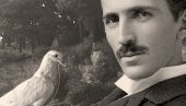 TESLA MEĐU GEJEVIMA: Čuveni naučnik junak zidnih novina u jednoj školi (FOTO) TESLA MEĐU GEJEVIMA: Čuveni naučnik junak zidnih novina u jednoj školi (FOTO)