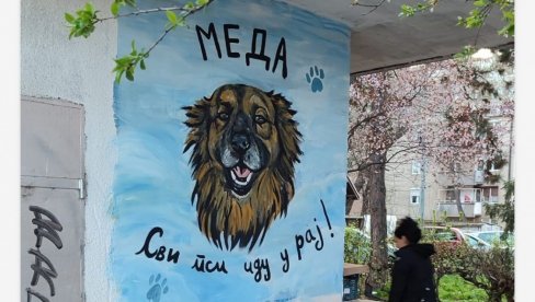 SIMBOL SVIH SVIH NAPUŠTENIH PASA: Nišlije oslikale mural Medi, psu koji je ulepšao život stanarima Rentgenove SIMBOL SVIH SVIH NAPUŠTENIH PASA: Nišlije oslikale mural Medi, psu koji je ulepšao život stanarima Rentgenove