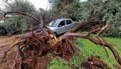 ВОДА УШЛА У БРОЈНЕ ОБЈЕКТЕ: Јако невреме у Ровињу и Поречу чупало стабла (ФОТО) ВОДА УШЛА У БРОЈНЕ ОБЈЕКТЕ: Јако невреме у Ровињу и Поречу чупало стабла (ФОТО)