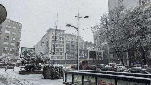 SRBIJA OSVANULA POD BELIM POKRIVAČEM: Sneg je napokon stigao, pahulje veju širom zemlje (FOTO/VIDEO)