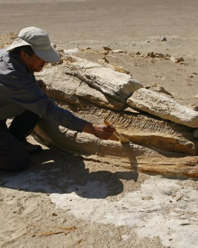 АРХЕОЛОШКА ИСКОПАВАЊА У НОРМАНДИЈИ: Откривени трагови насеља од пре 7.000 година