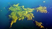 ЖИВЕ БЕЗ БЕЗ АУТОМОБИЛА И ПОЛИТИЧКИХ ПАРТИЈА: Пре петнаест година укинута последња феудална држава у Европи, али и даље одолева времену