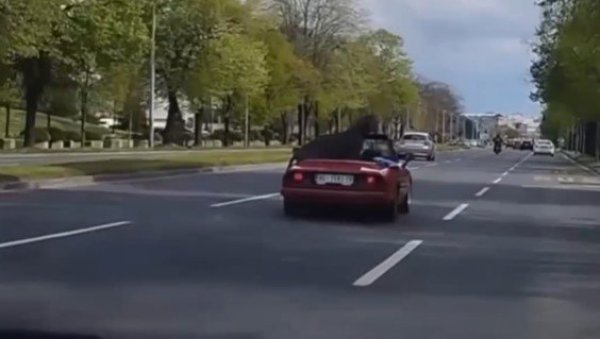 МИСЛИЛА САМ ДА ЈЕ КОЊ: Несвакидашњи призор оставио Београђане у чуду (ВИДЕО) МИСЛИЛА САМ ДА ЈЕ КОЊ: Несвакидашњи призор оставио Београђане у чуду (ВИДЕО)