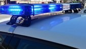 ХАПШЕЊЕ ЗБОГ КОРУПЦИЈЕ: Лисице стављене  Данијели Малетић и Милунки Савић