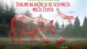 Telekom Srbija svojom mrežom pruža oslonac nauci da bi sve vrste bile na broju Telekom Srbija svojom mrežom pruža oslonac nauci da bi sve vrste bile na broju