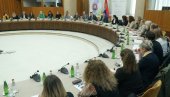 PREDŠKOLSKO OBRAZOVANJE KLJUČNO: Ministar Ružić otvorio stručno savetovanje PREDŠKOLSKO OBRAZOVANJE KLJUČNO: Ministar Ružić otvorio stručno savetovanje