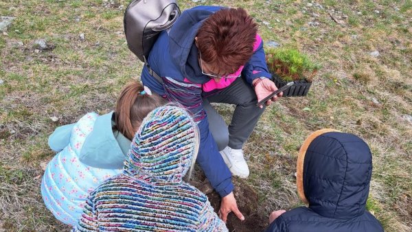 СРЦЕМ ЗА ГОЧ: Акција пошумљавања планине повише Врњачке Бање СРЦЕМ ЗА ГОЧ: Акција пошумљавања планине повише Врњачке Бање