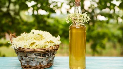 RECEPT ZA DOMAĆI SOK OD ZOVE: Okrepljuje i osvežava RECEPT ZA DOMAĆI SOK OD ZOVE: Okrepljuje i osvežava