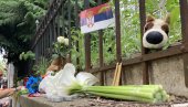 ЗБОГ ЈЕЗИВЕ ПОГИБИЈЕ У ОСНОВНОЈ ШКОЛИ НА ВРАЧАРУ: Проглашен Дан жалости у целој БиХ - заставе на пола копља