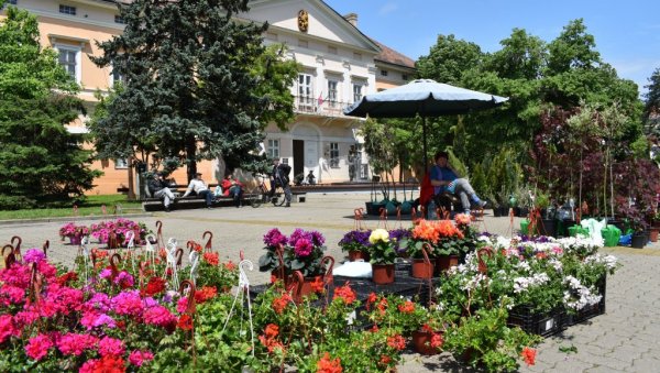 ПРОЛЕЋНИ САЈАМ ЦВЕЋА: Центар Кикинде у суботу постаје шарена башта ПРОЛЕЋНИ САЈАМ ЦВЕЋА: Центар Кикинде у суботу постаје шарена башта