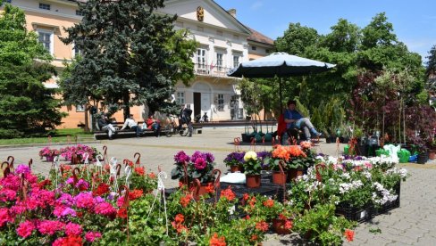 PROLEĆNI SAJAM CVEĆA: Centar Kikinde u subotu postaje šarena bašta PROLEĆNI SAJAM CVEĆA: Centar Kikinde u subotu postaje šarena bašta