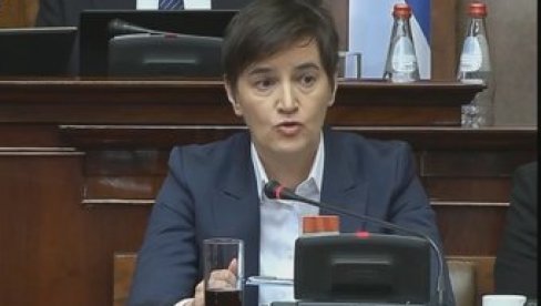 BRNABIĆ: Udruženje Srbija protiv nasilja registrovano na adresi ugostiteljskog objekta “Estrada” u Šapcu