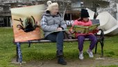 NAJEZDA U SRBIJI: Grozdovi zaraznih insekata - padaju i sa drveća, treba se čuvati NAJEZDA U SRBIJI: Grozdovi zaraznih insekata - padaju i sa drveća, treba se čuvati