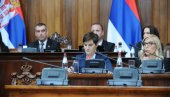 SEDNICU POVODOM TRAGEDIJA OPOZICIJA NAZIVA ŠARADOM: Premijerka Brnabić im oštro odgovorila